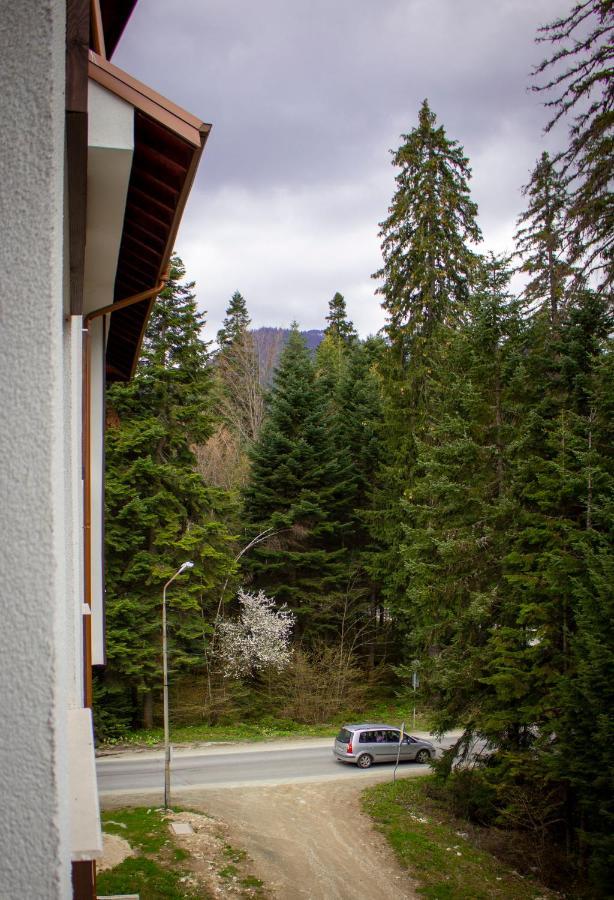 Borovets Gardens Studio Kültér fotó